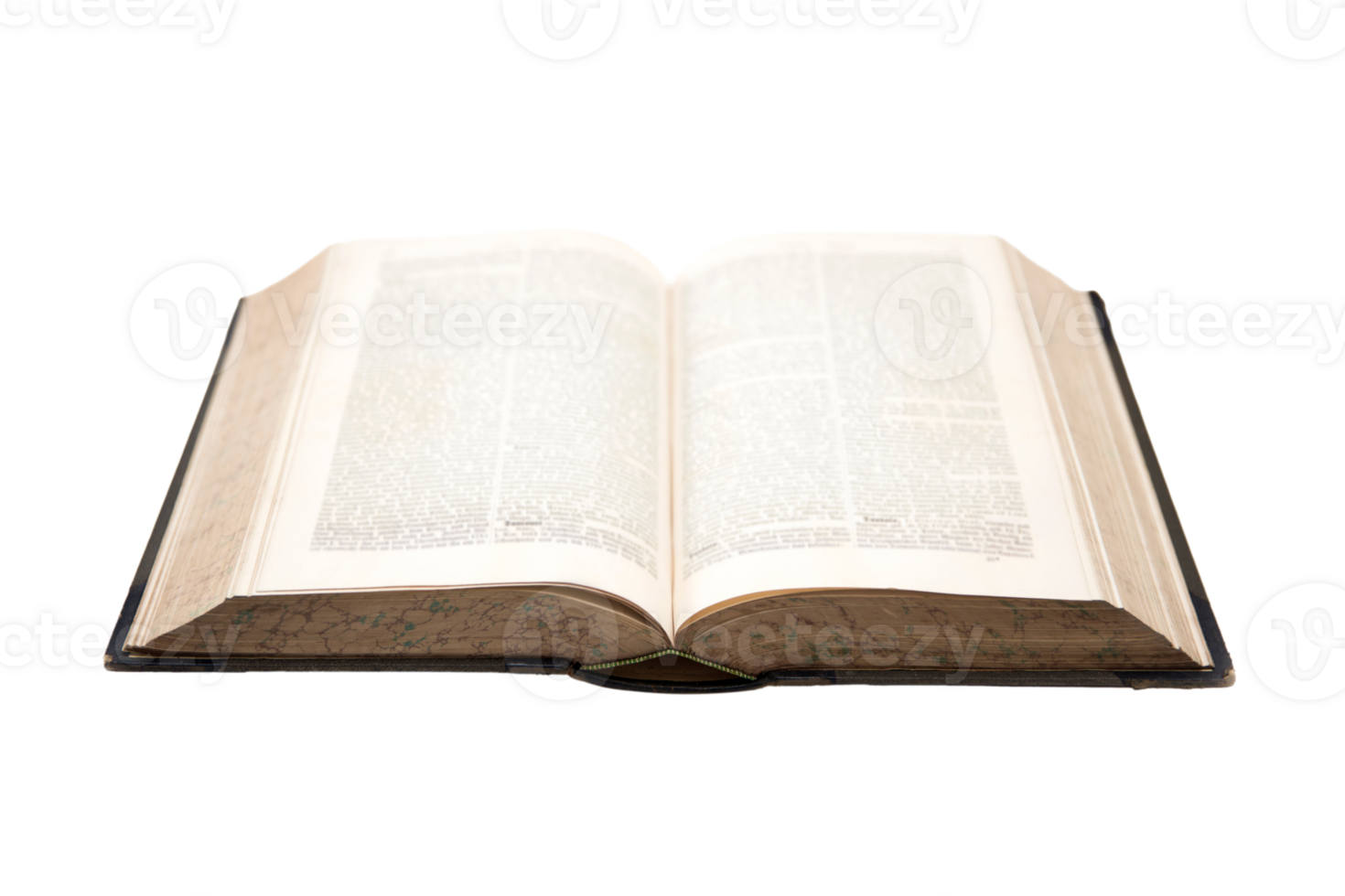 Opened vintage antique book png