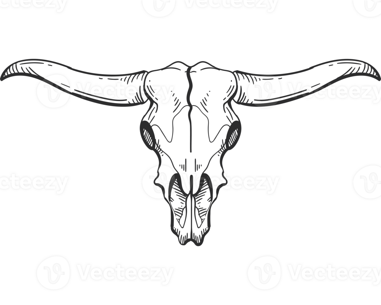 bull skull isolated icon png