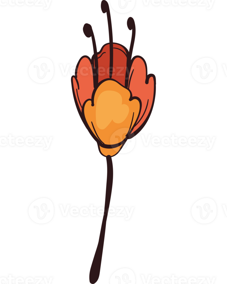 A flower with a stem and leaves png