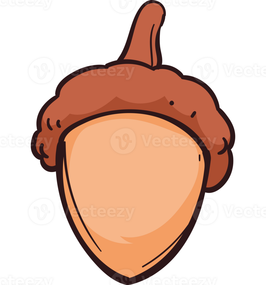 Autumn nature acorn isolated illustration png