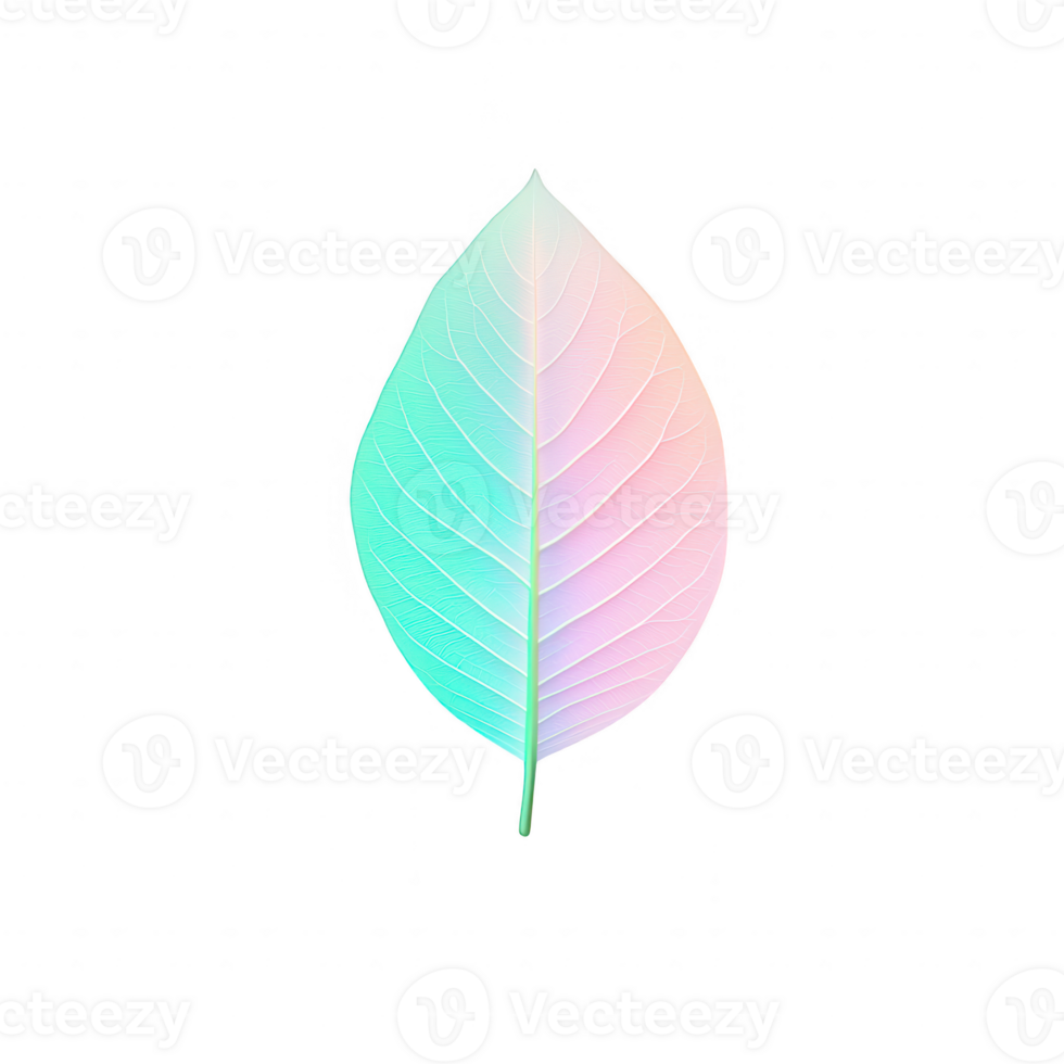 A vibrant leaf showcasing a gradient of pastel colors on a black background. png