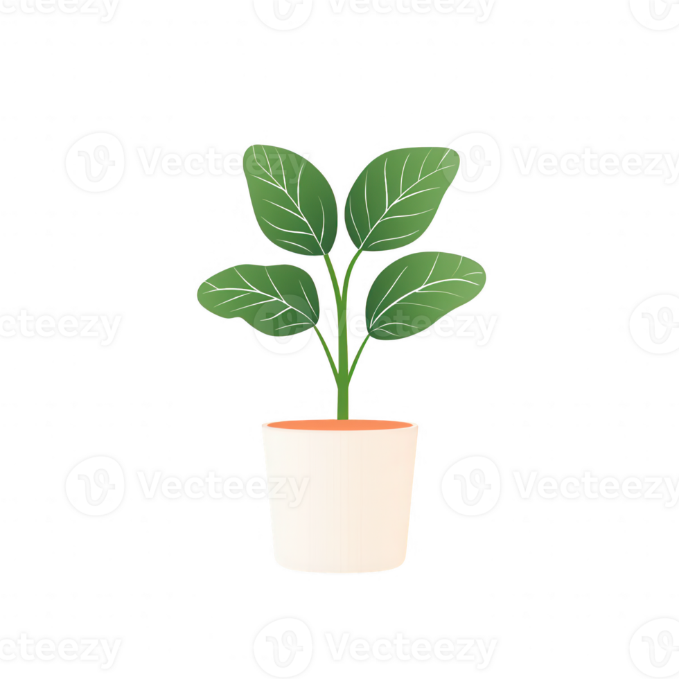 A vibrant green potted plant with glossy leaves to enhance any indoor space. png