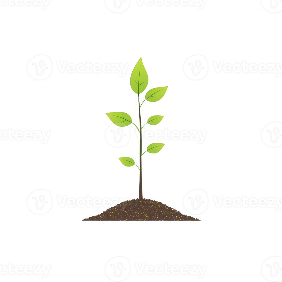 A young green plant sprouting from rich soil, symbolizing growth and new beginnings. png