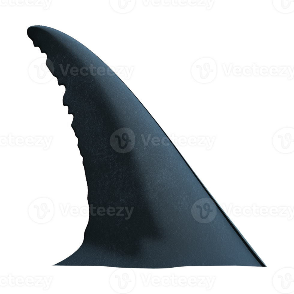 Fin of Shark Isolated on Transparent Background png