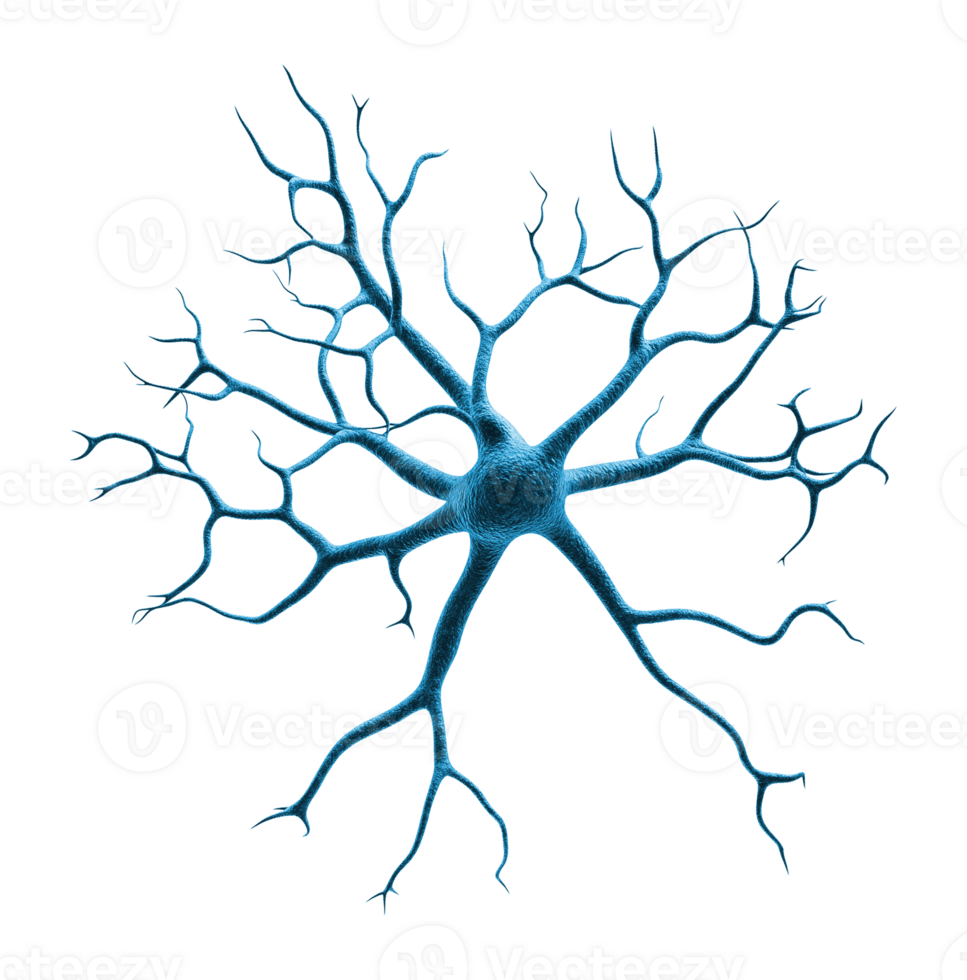 Neuron Nerve Cell Isolated on Transparent Background png