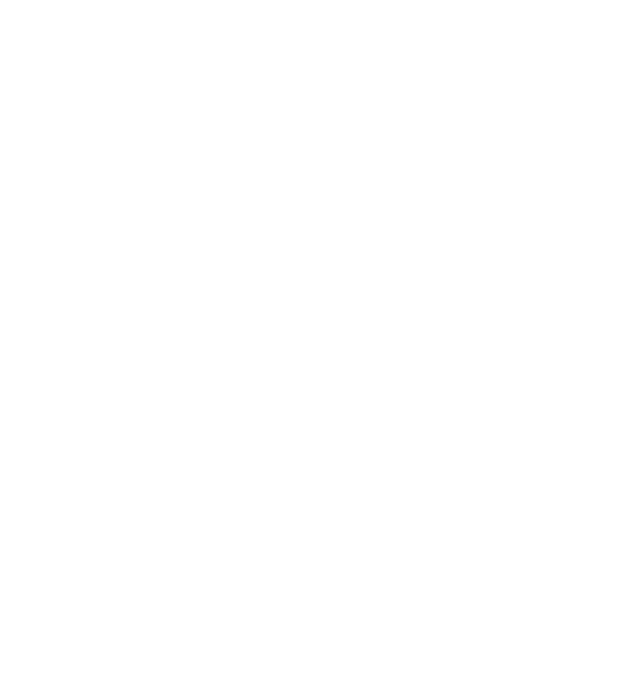 spider web carving png