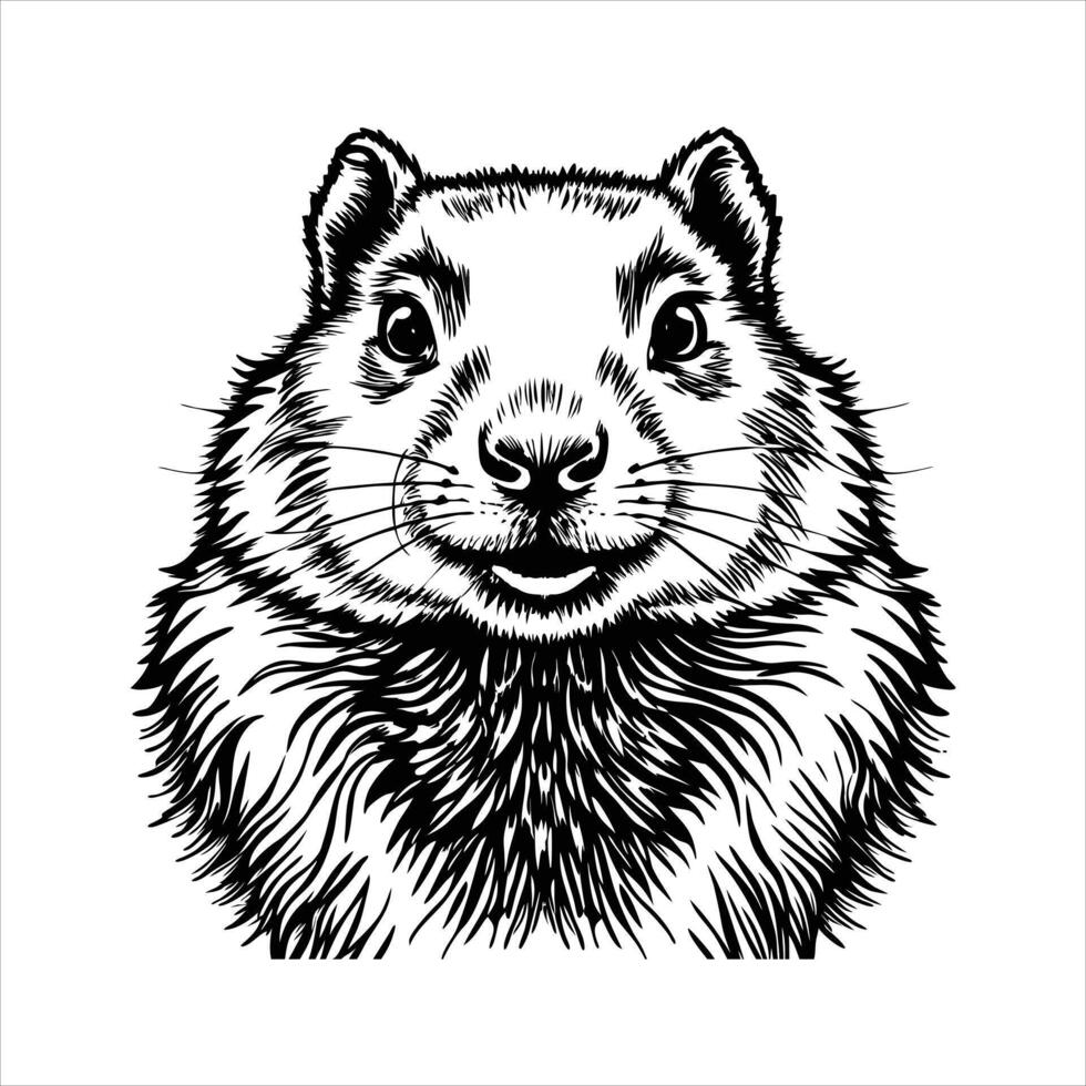 Groundhog With Detailed vector