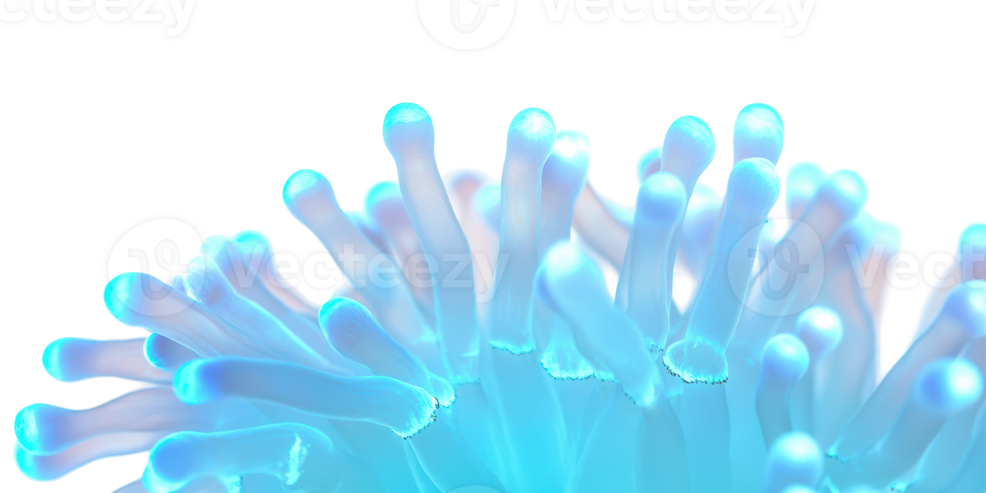 Blue glowing tentacles abstract pattern isolated on transparent background png