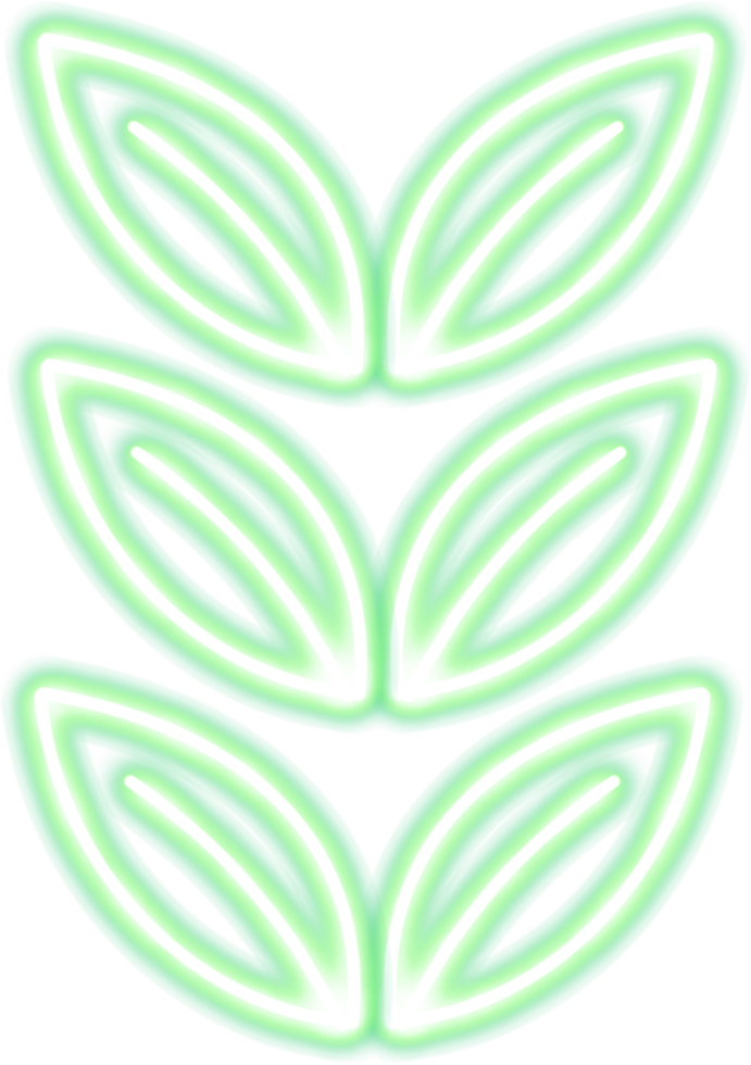 foliage radiant string png