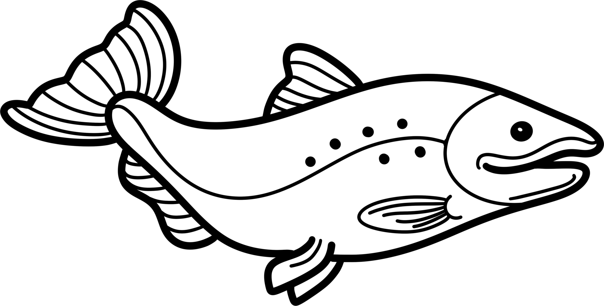 Salmon simple drawing png