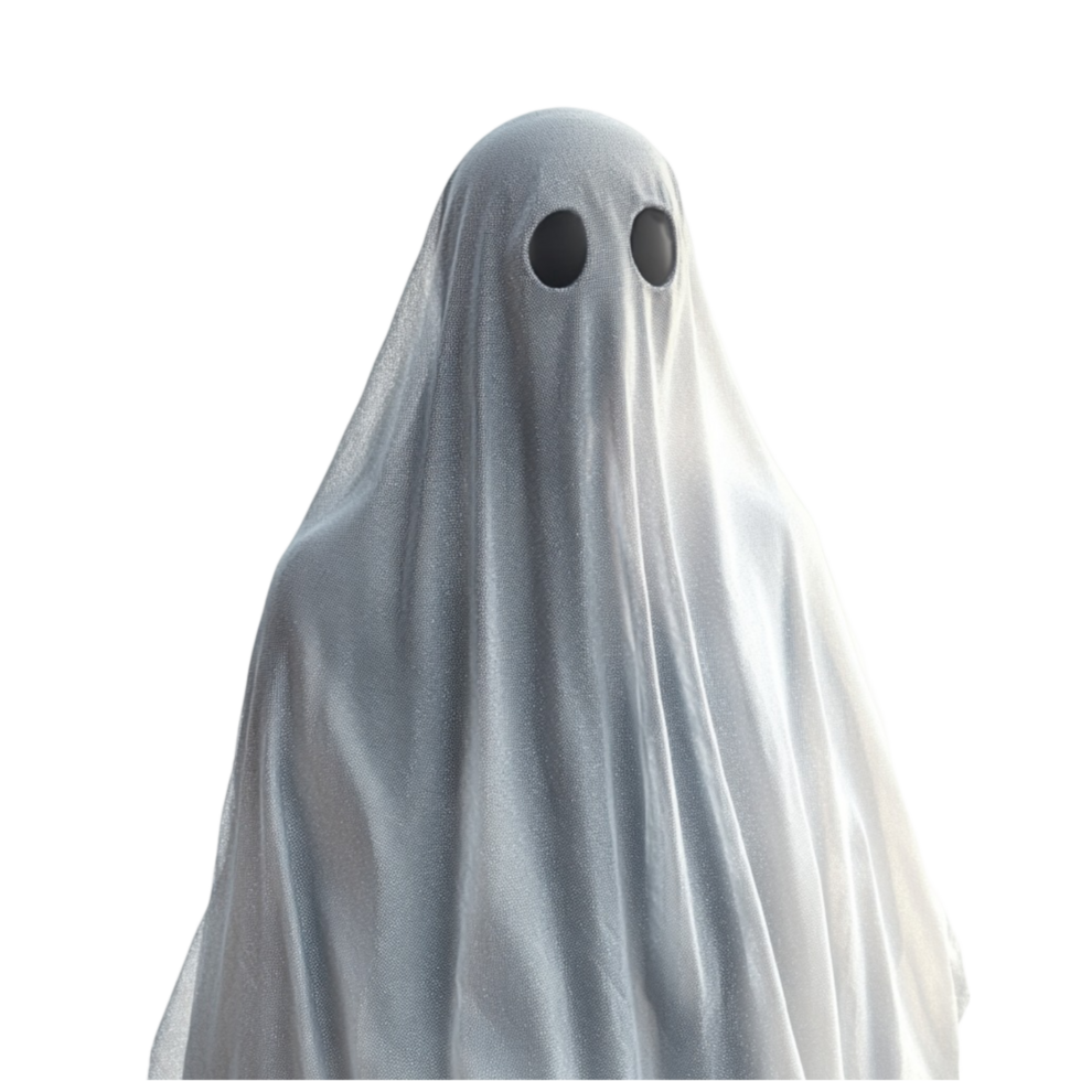 Ghost in Gray Cloak png