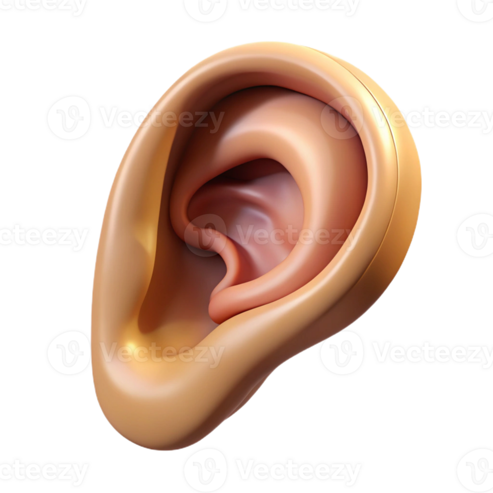 3D Ear Illustration with Gradient Background png