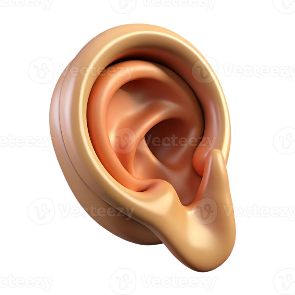 3D Ear Render Anatomy Illustration png