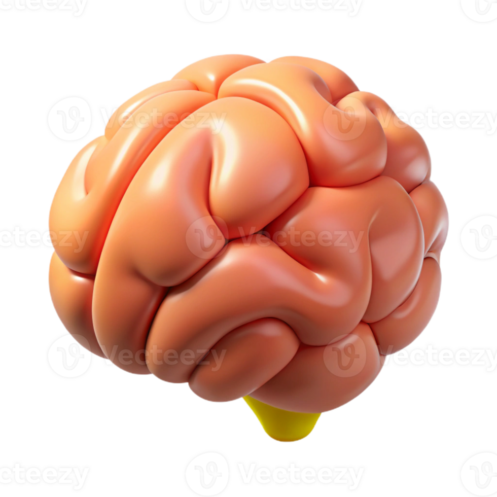 3D Cartoon Brain Illustration png