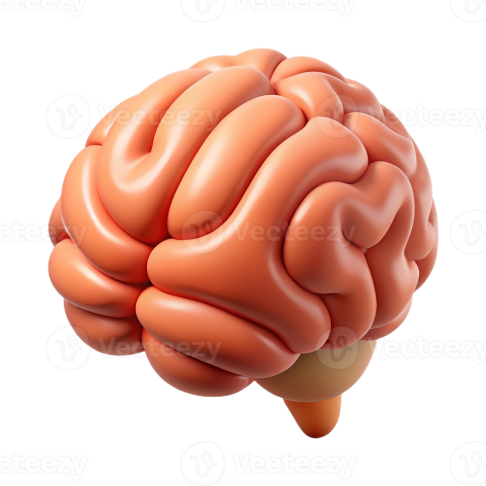 3D Render of a Human Brain png