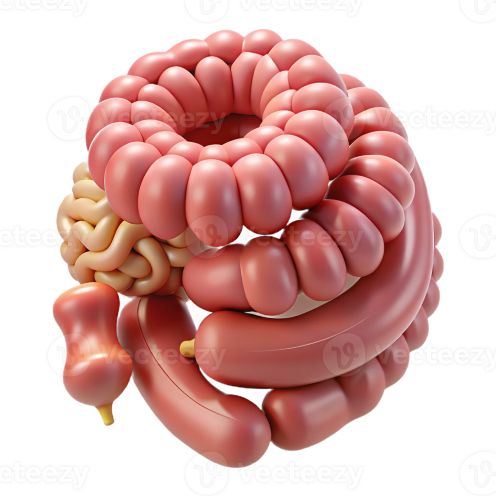 3D Abstract Sausage Illustration png
