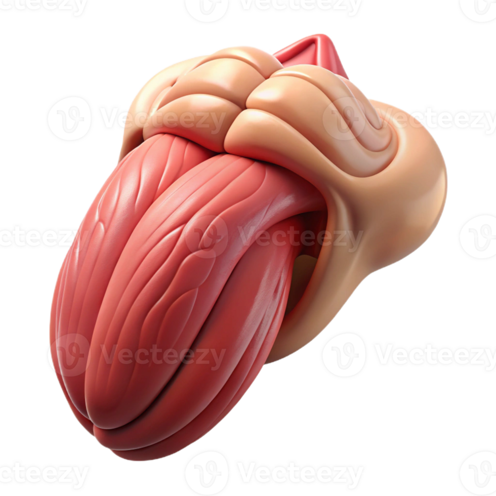 3D Tongue Illustration png