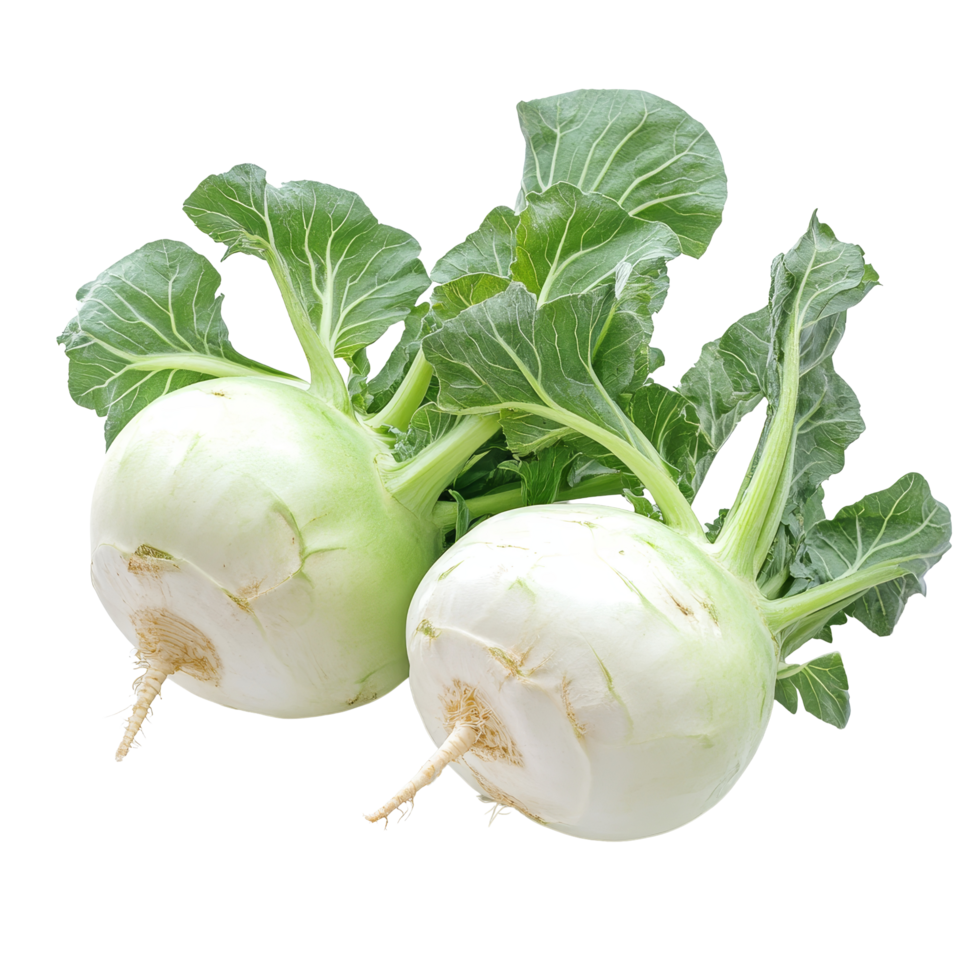 Fresh kohlrabi with vibrant green leaves showcases a crisp vegetable on a clean transparent background, Fresh kohlrabi with green leaves on transparent background png