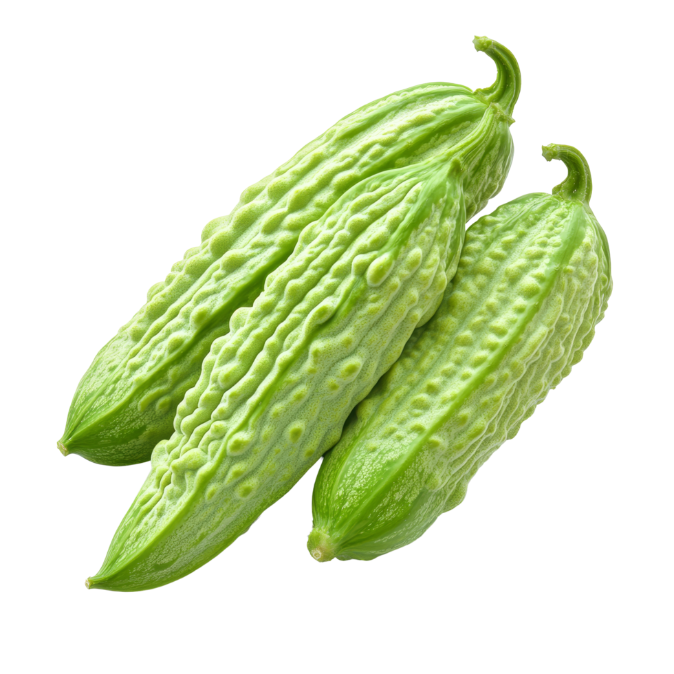 Fresh bitter melon isolated on a transparent background showcasing its unique texture and shape, bitter melon isolated on transparent background png