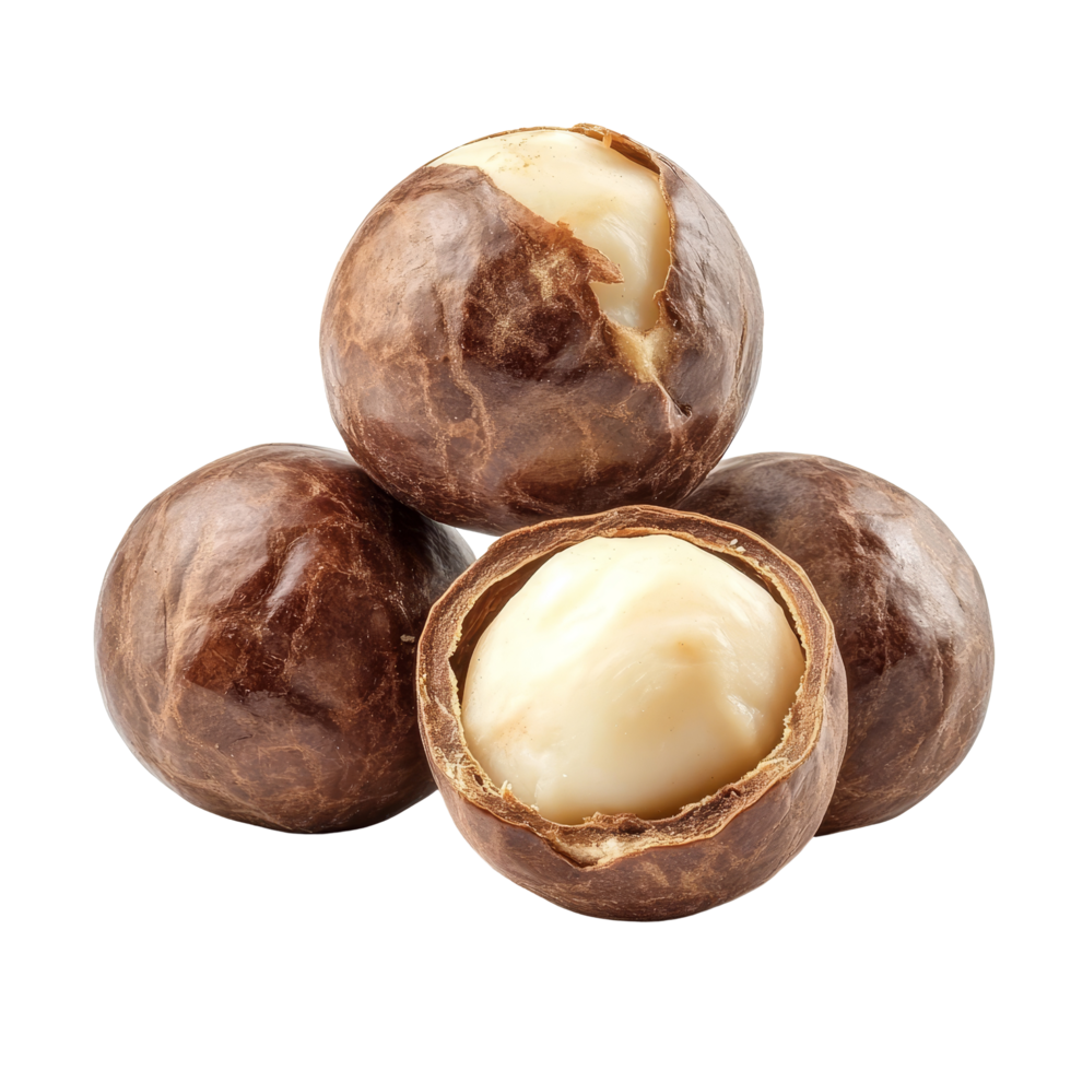 Macadamia nuts in their shells arranged on a transparent background showcasing natural textures and colors, Peeled macadamia nut isolated on transparent background png