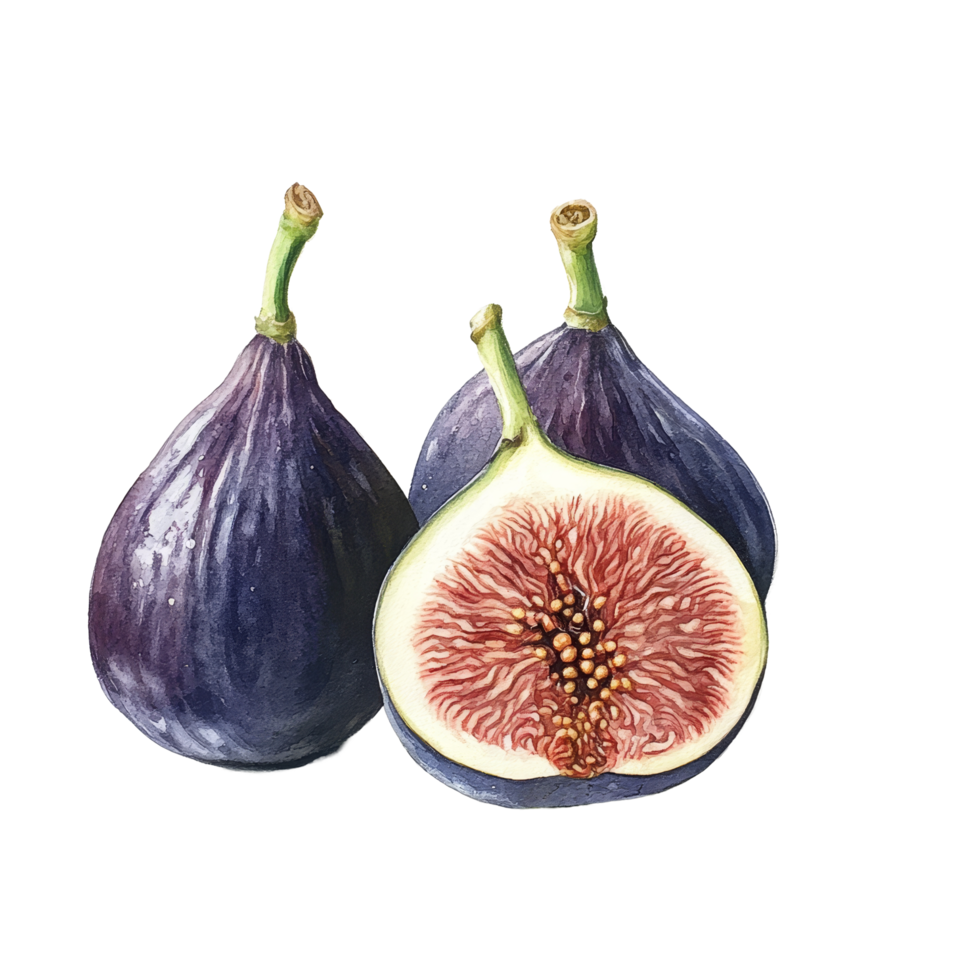 Fresh figs cut open to reveal unique inner texture on plain transparent background, figs on transparent background png