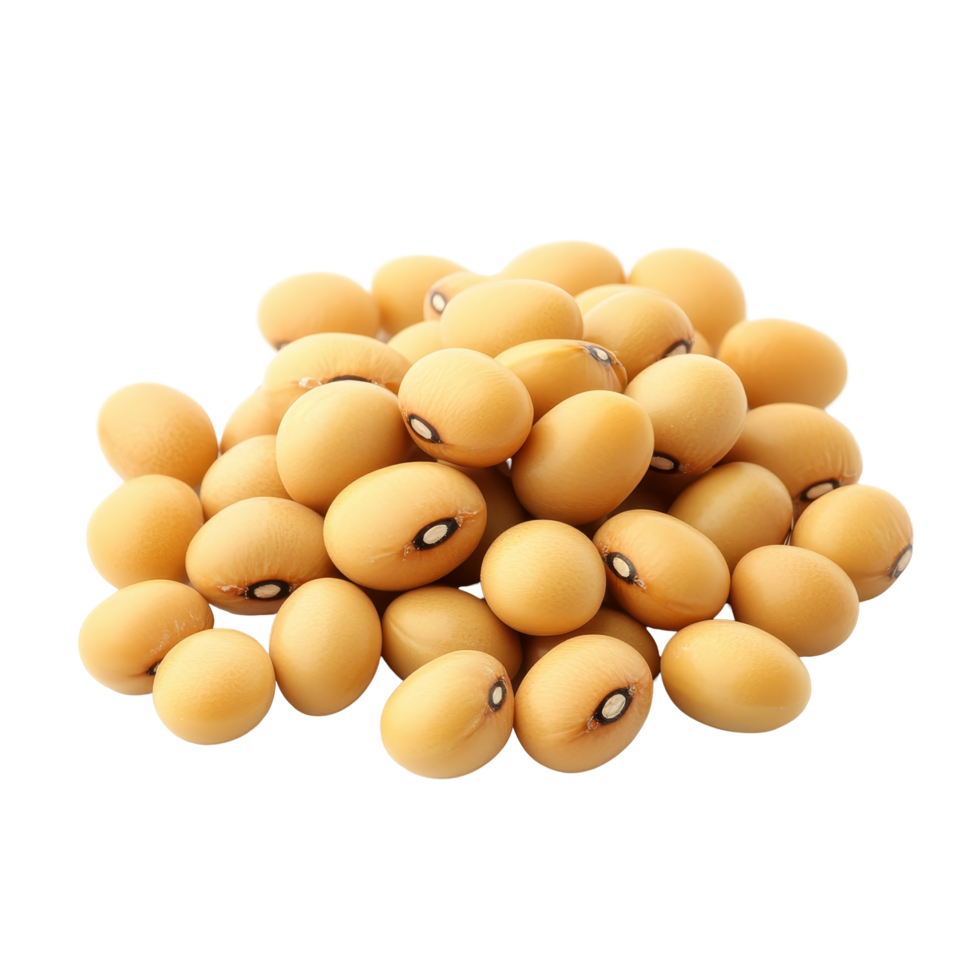 Soybean seeds isolated on a transparent background for agricultural, culinary, and nutritional purposes, Soy beans seeds isolated on transparent background png