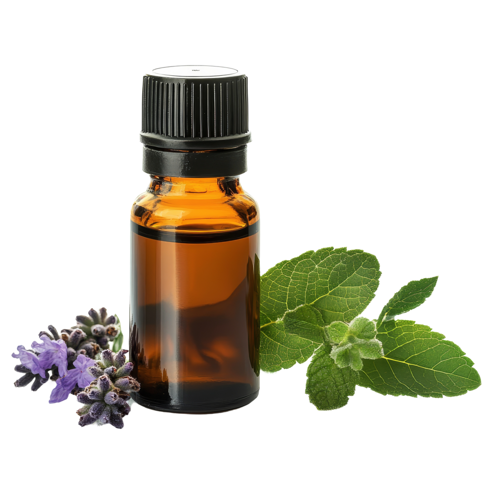 Essential oil bottle with lavender and mint leaves isolated on a bright transparent background, Bottle of essential oil isolated on transparent background png