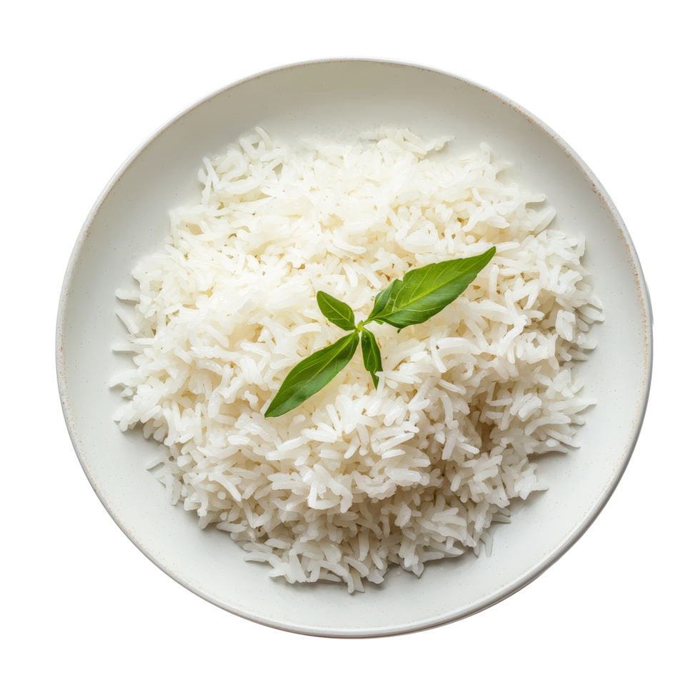 Steamed jasmine rice served in a transparent plate against a minimalist transparent background for a clean culinary presentation, Jasmine rice in transparent plate on transparent background png