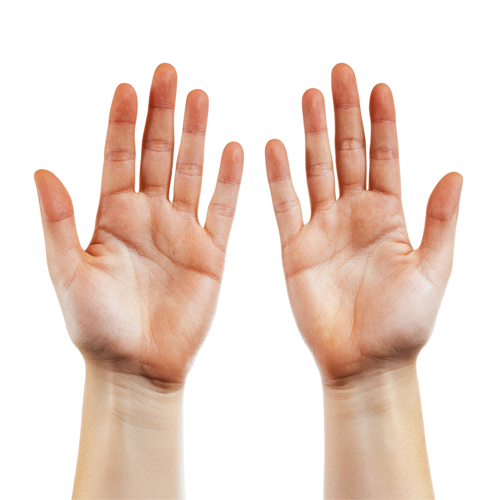 Hands raised in a friendly greeting gesture during a bright day, inviting connection and interaction, Hands, palms gesturing up, saying hi, greeting, hello, bye isolated on transparent png