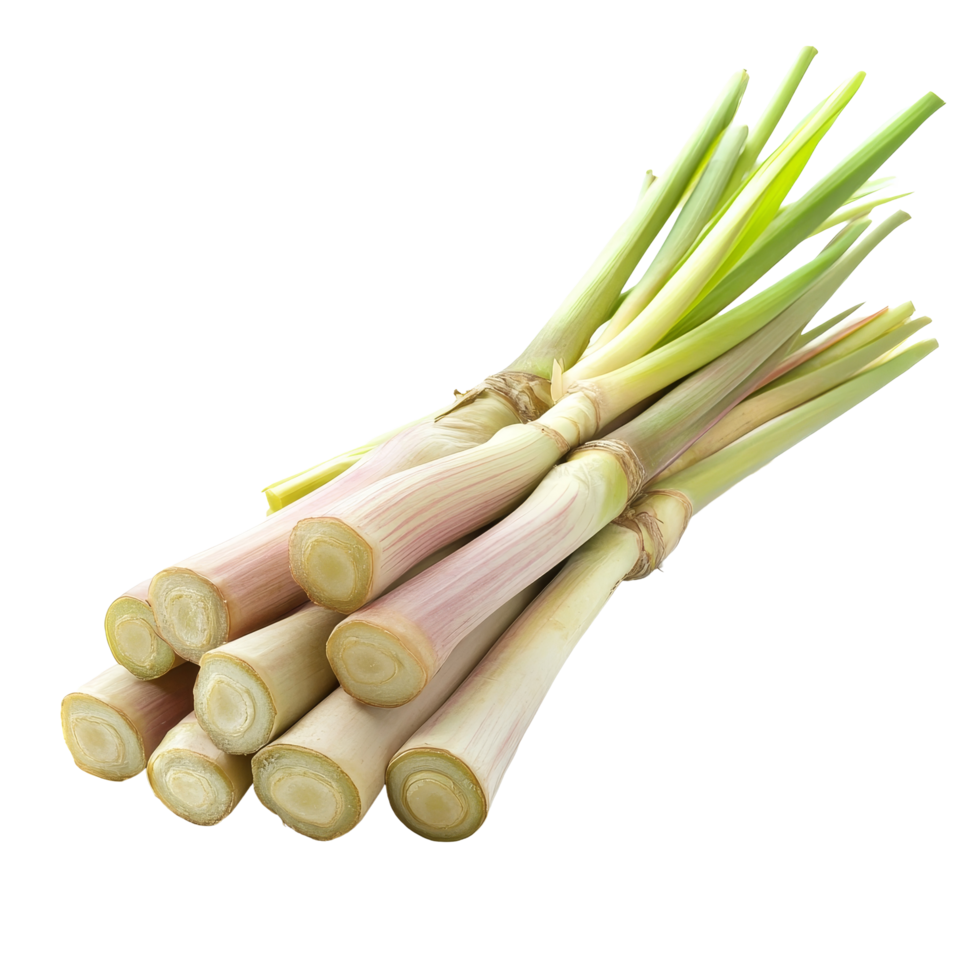 Freshly sliced lemongrass on a transparent background ready for culinary use in various dishes and beverages, fresh slice lemongrass on transparent background png