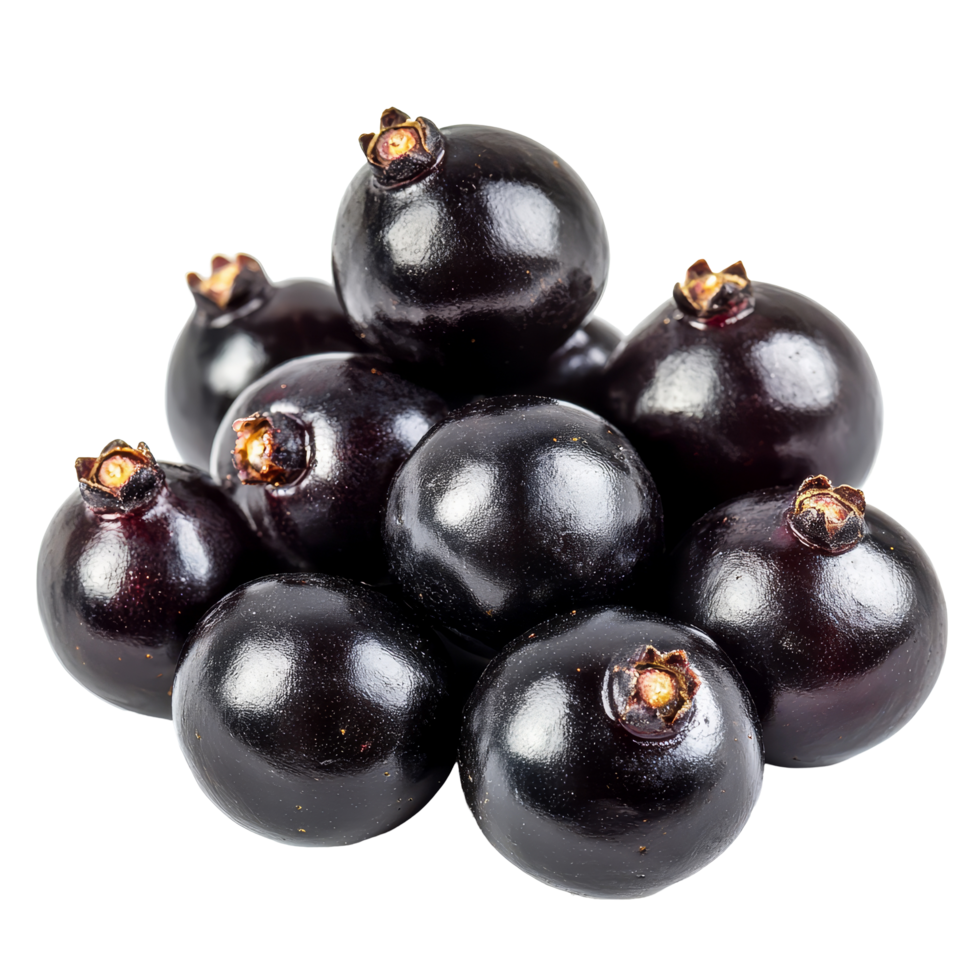 Fresh bengal currants stacked together, showcasing their vibrant black color on a transparent background, bengalcurrants, carandasplum, isolated on transparent background png
