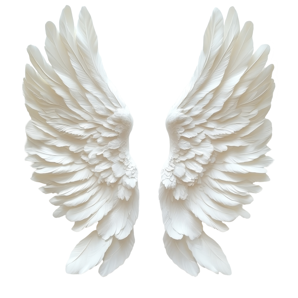 Elegant transparent feathered angel wings symbolizing purity against a soft transparent background, Angel Wings transparent Feathered Symbol of Purity on a transparent background png