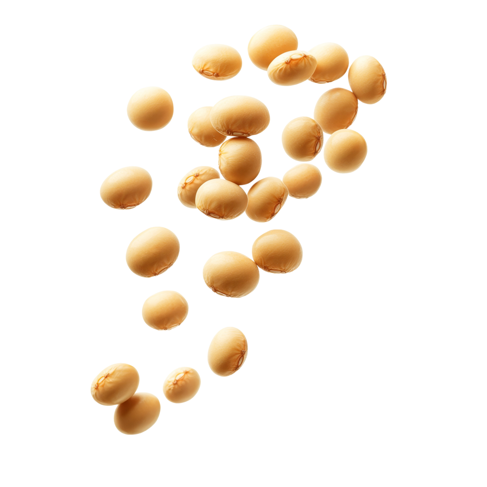 A group of floating soybeans isolated on a clean transparent background with attention to detail and texture, Group of floating soybeans isolated png