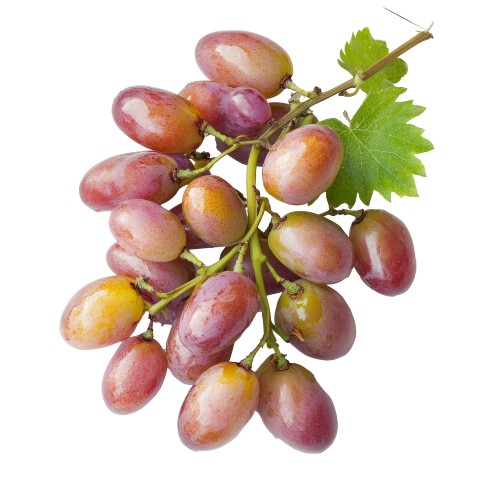 Burmese grapes displayed on a transparent background showcasing their vibrant colors and unique shape, Burmese grape on transparent background png