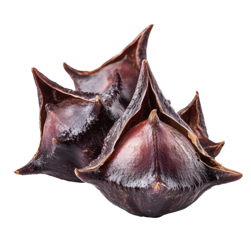 Water caltrop or horn chestnut cluster showcasing unique shape and dark exterior against a plain background, Water caltrop or horn chestnut or water chestnut isolated on transparent background png