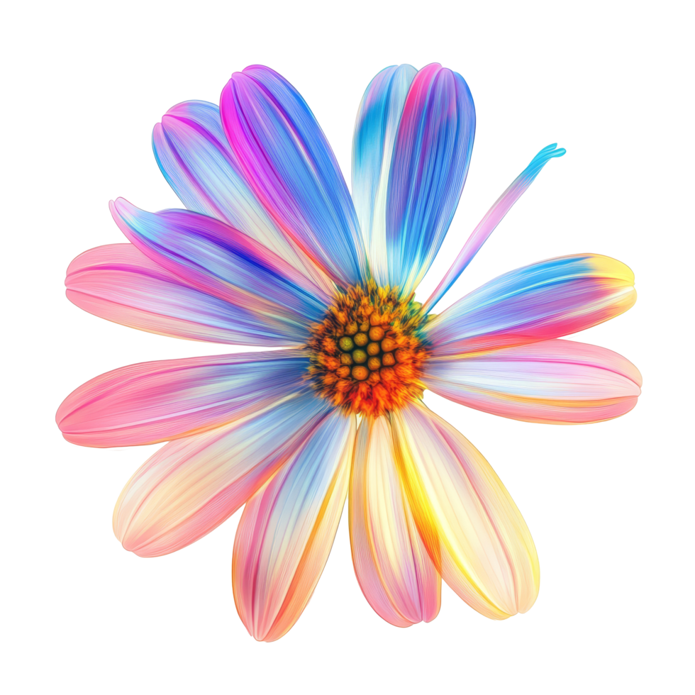 A vibrant daisy flower with radiant colors isolated on a transparent background showcases natures beauty, vibrant daisy in style, isolated on a transparent background for design layouts png