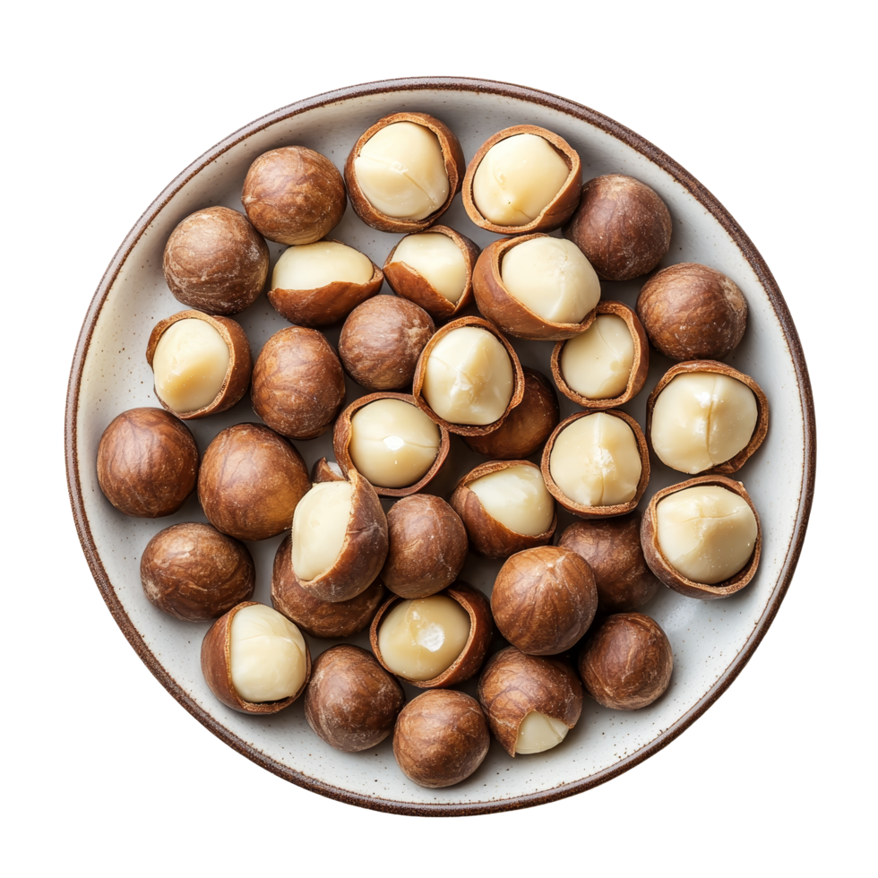 A close up view of fresh macadamia nuts served on a plate against a bright transparent background, macadamia nuts in plate on transparent background png