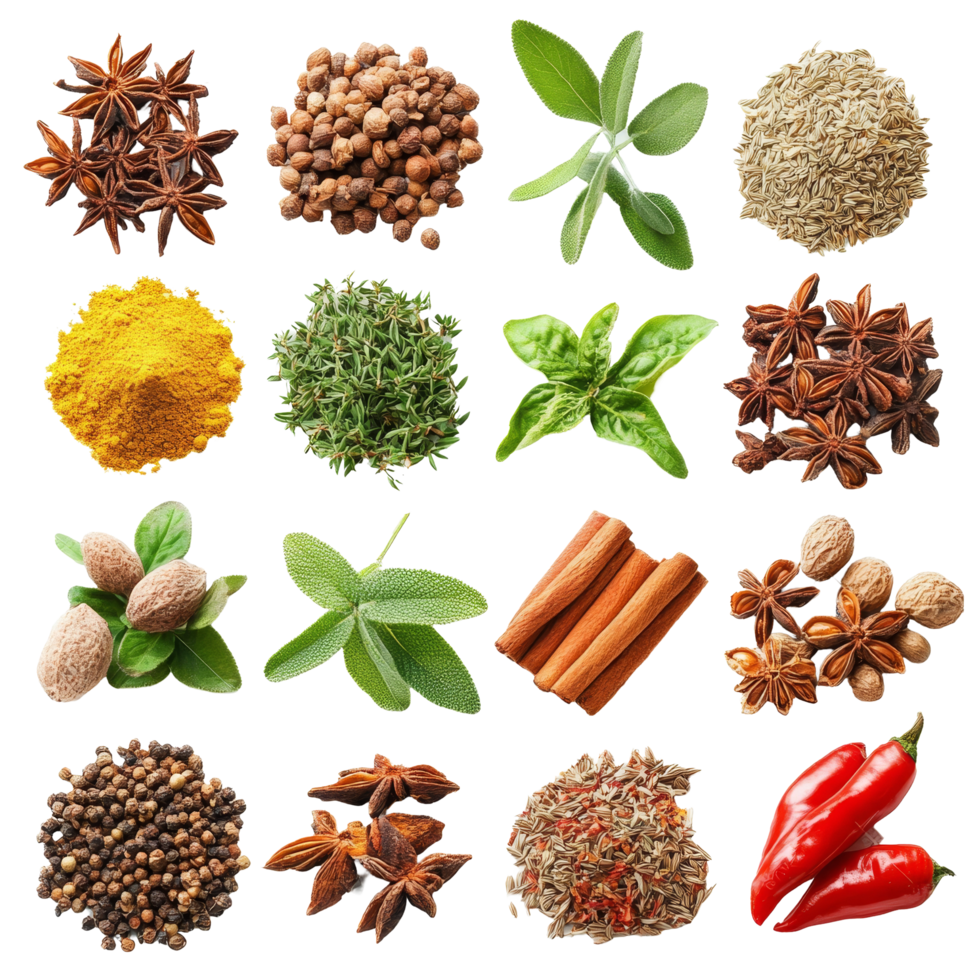 Variety of spices and herbs arranged on a transparent background for culinary inspiration and presentation, Spices and Herbs Isolated on transparent Background png