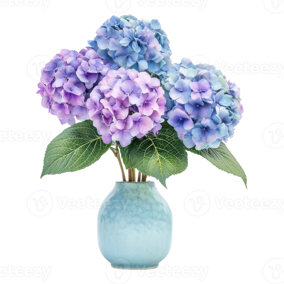 Stunning Hydrangea Bouquet on transparent background. png