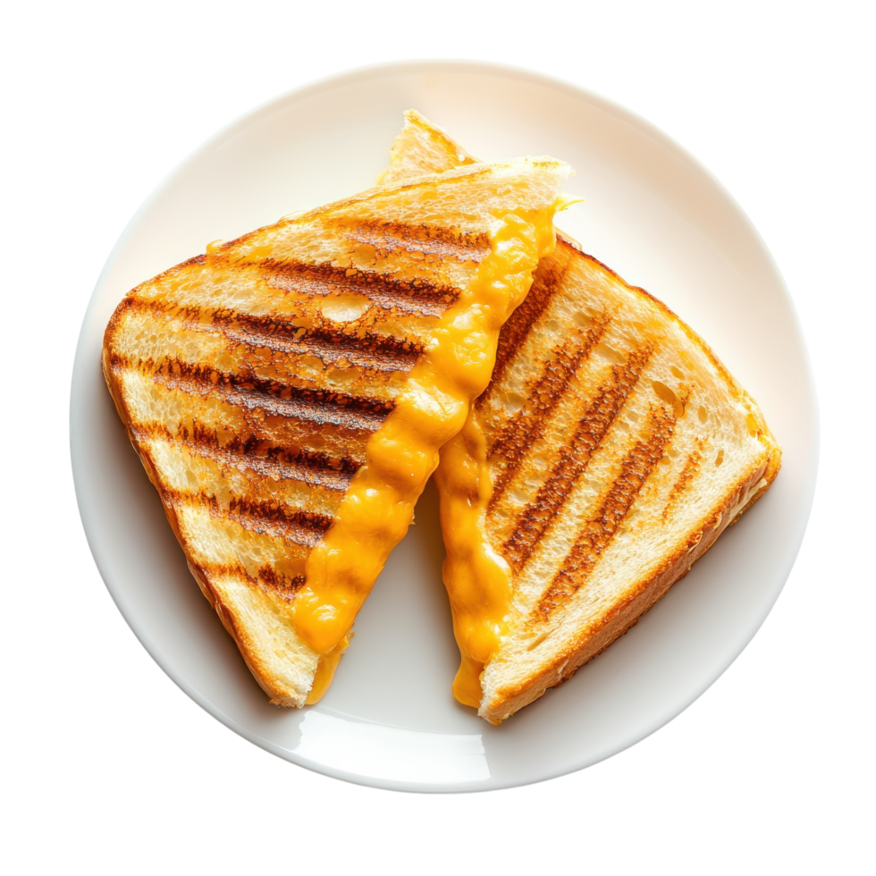 Delicious Grilled Cheese Sandwich on transparent background. png