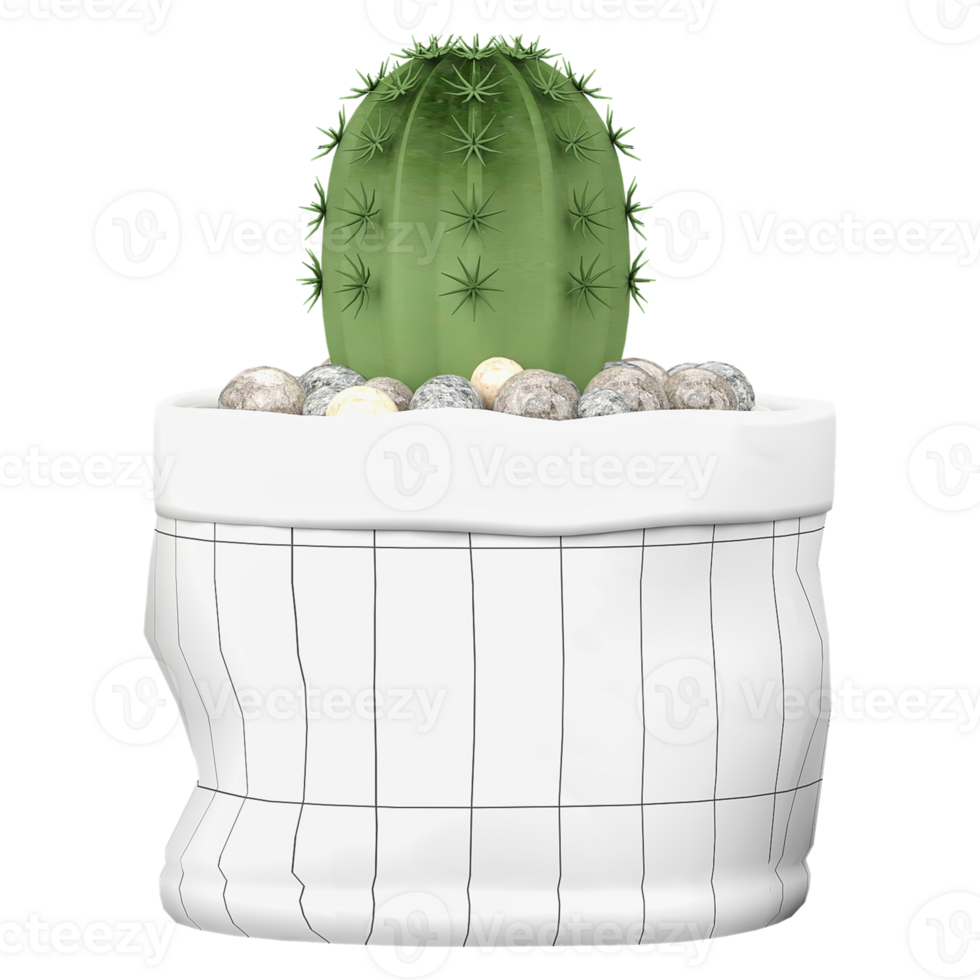 3D rendering of Saguaro Plant in planter isolated on transparent Canvas png