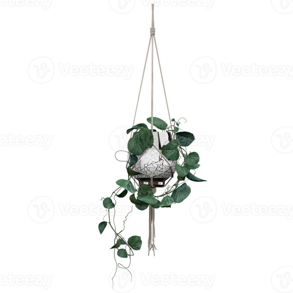 3d Rendering Of Modern Hanging Basket with plant isolated on transparent Canvas png