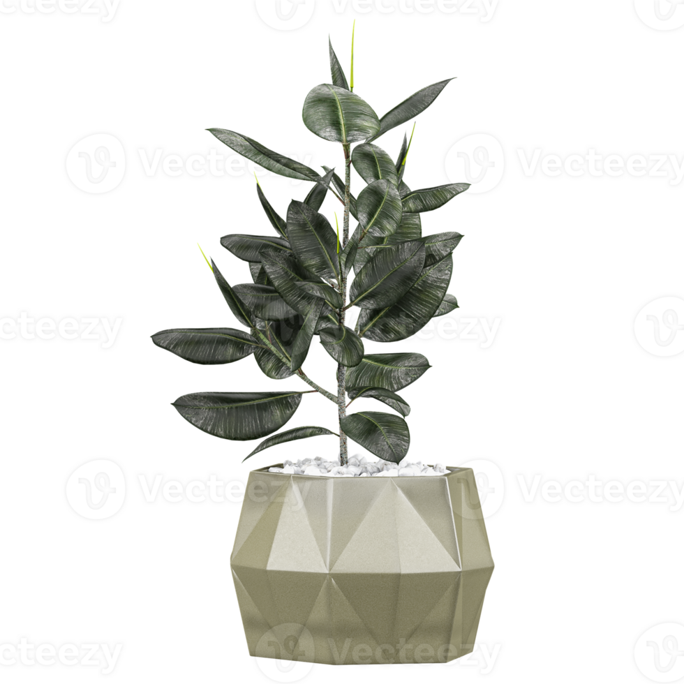 a potted plant in a geometric pot on a white background png