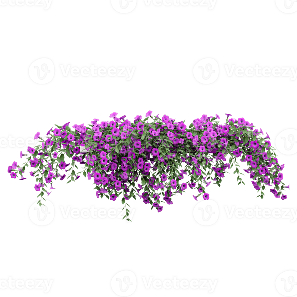 collection of hanging Morning glory Plant isolated on realistic style png