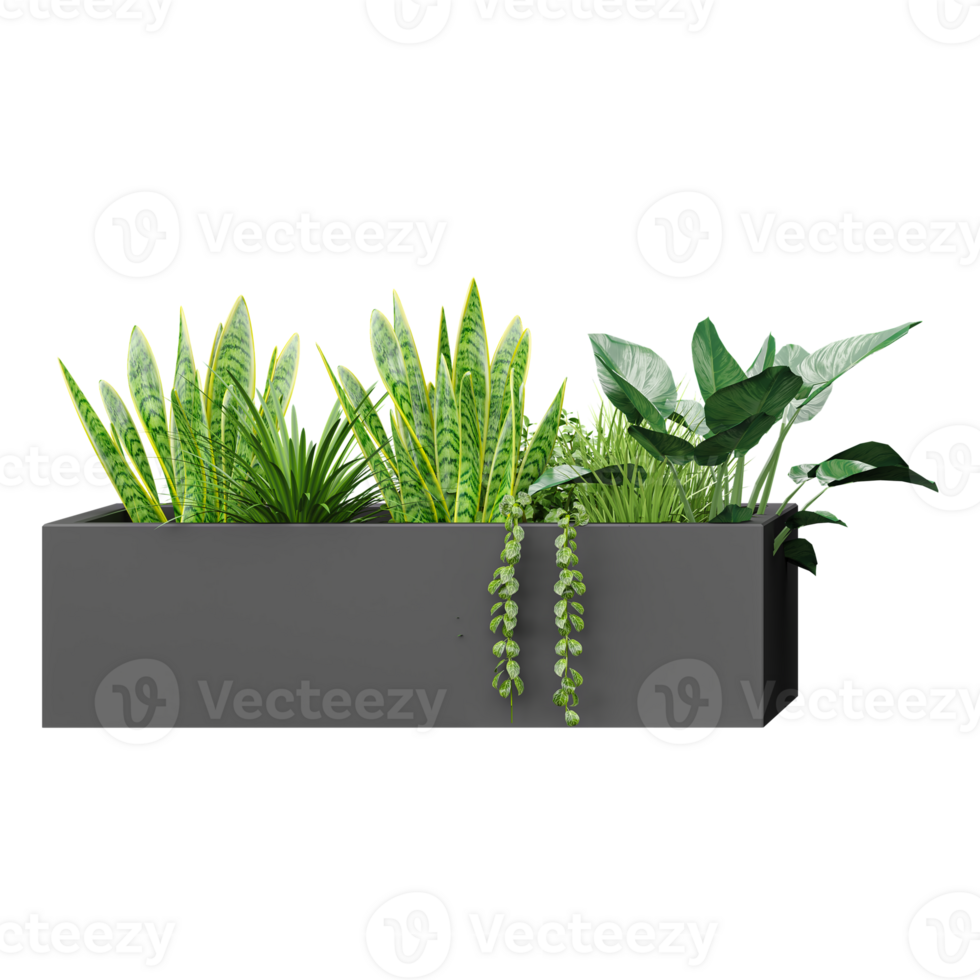 A row of plants in a planter isolated on transparent canvas png