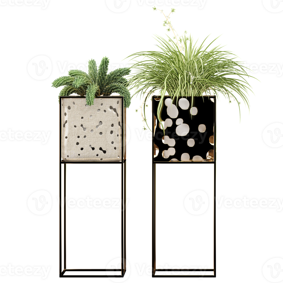 Potted green plants isolated on transparent Canvas png