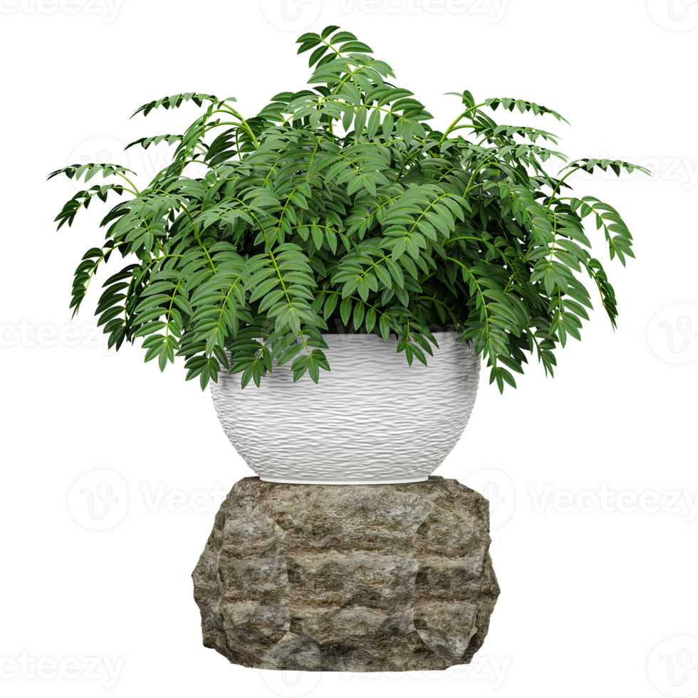 collection of Curry tree in planter with realistic style png