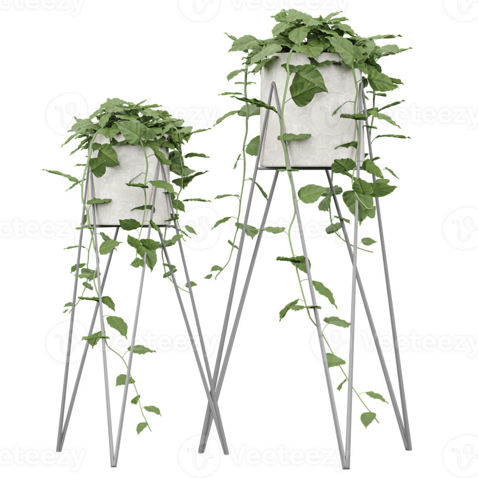 3d illustration of Ivy plants in gray Planter Tall isolated on transparent canvas png