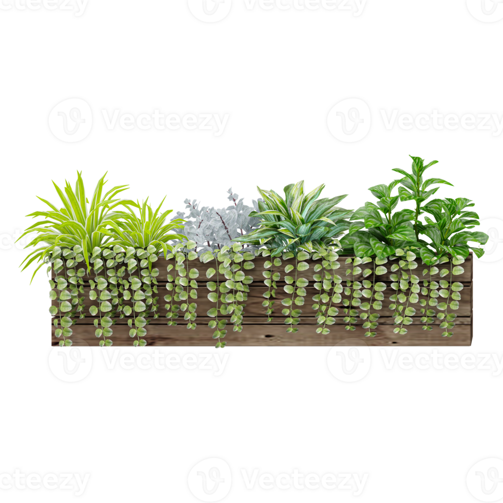3d illustration of Green beautiful plants in vase isolated on transparent canvas png