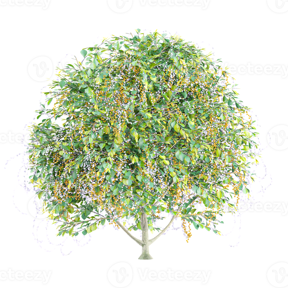 3d rendering of sheena's gold tree isolated on transparent canvas png